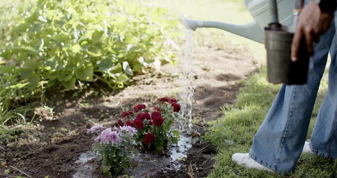 Adult woman in denim tipping blue can, holding black pot, hydrating flowers in garden, copy space