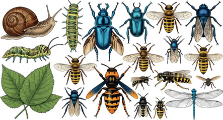 Detailed Insect and Bug Collection, Hand-Drawn Vector Set of Snail, Caterpillars, Bees, Dragonflies, Beetles, and Leaf for Nature, Wildlife, and Educational Illustrations © MstTazmina