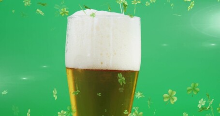 Displaying tall pilsner glass showing amber beer with frothy head in studio graphic, shamrock theme © vectorfusionart