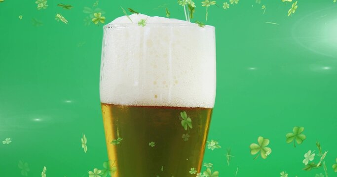 Displaying tall pilsner glass showing amber beer with frothy head in studio graphic, shamrock theme