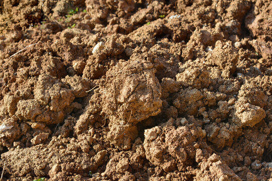 Close up view of a pile of freshly dug fertile brown garden soil with large clods of earth ready for planting.