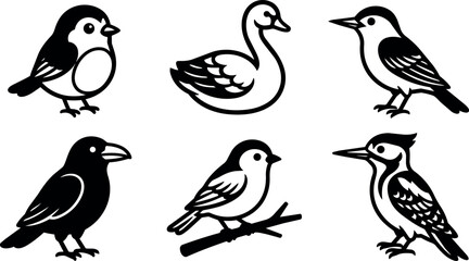 Fototapeta premium Black and white bird collection with sparrow swan crow woodpecker and branch line art
