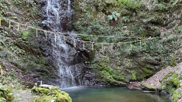 Sacred waterfall in the forest with Shime-nawa ritual rope, spiritual nature in Japan.