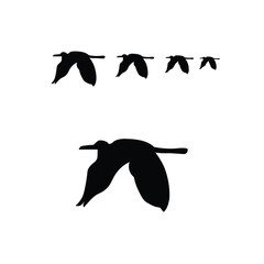 Obraz premium Flying Duck Silhouette Vector Set – Waterfowl Birds in Flight for Wildlife, Nature and Hunting Design Isolated on Transparent Background