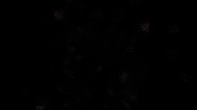 Festive fireworks in the night sky during a celebration