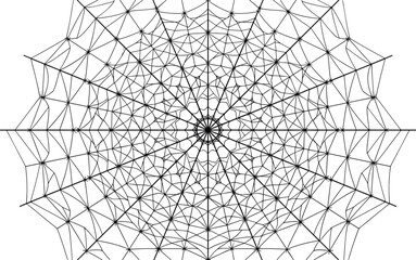 Obraz premium Abstract geometric spider web pattern radial symmetry black line mandala design intricate network structure vector illustration isolated background