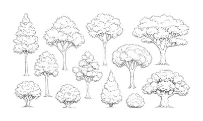 Collection of hand drawn deciduous and coniferous trees and bushes nature foliage 1 © Mahin