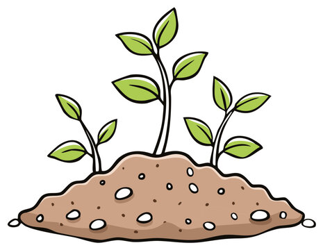 Cartoon illustration of young plants sprouting from a small mound of soil.