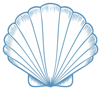 Elegant blue line art scallop shell illustration, perfect for summer ocean and marine designs