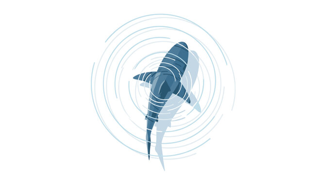 A stylized blue shark with a shadow swims amidst concentric ripples on a white background, viewed from directly above.
