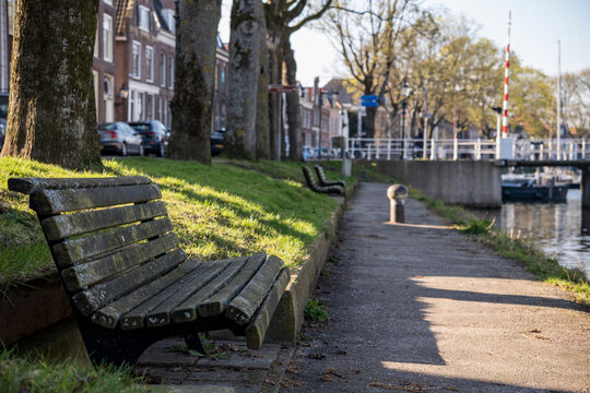Peaceful park alley with bench and trees. Sunny spring landscape in European town.