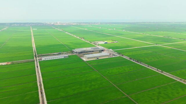 Rice Processing Facility with Solar Roof in Paddy Fields Aerial Sekinchan Malaysia. Illustrating agricultural industry, food production infrastructure, and solar energy systems in Southeast Asia.