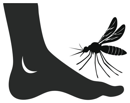 Mosquito approaching foot, insect approaching human. Bite risk. Illustration of insect, vector.