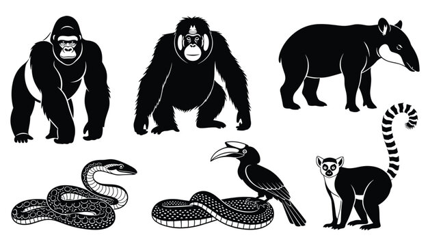 Gorilla orangutan tapir snake toucan lemur animal silhouette vector set for wildlife design