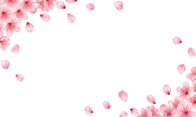 Beautiful blooming pink cherry blossom flowers and falling petals border background for spring seasonal celebrations wedding invitations and organic floral beauty hand drawn vector illustration art © Kanon Islam