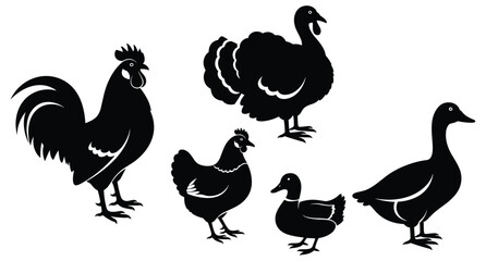 Rooster turkey pigeon hen duckling goose bird silhouette vector set for farmyard poultry design © Md Robin Hasan