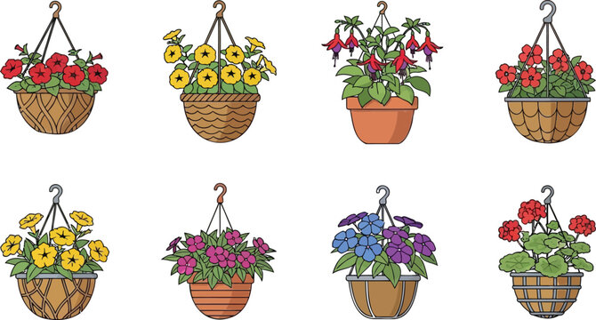 Collection of hanging flower baskets featuring petunias fuchsias and hydrangeas perfect for garden design spring decor and floral illustrations
