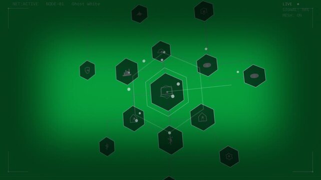 Appearing central server hex spawning outer nodes, pulsing rings, routing dots, forming hub on HUD