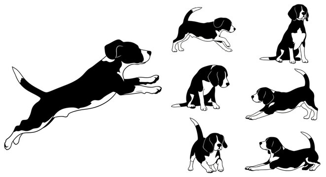 Black and white beagle puppies in various playful poses on a white background.