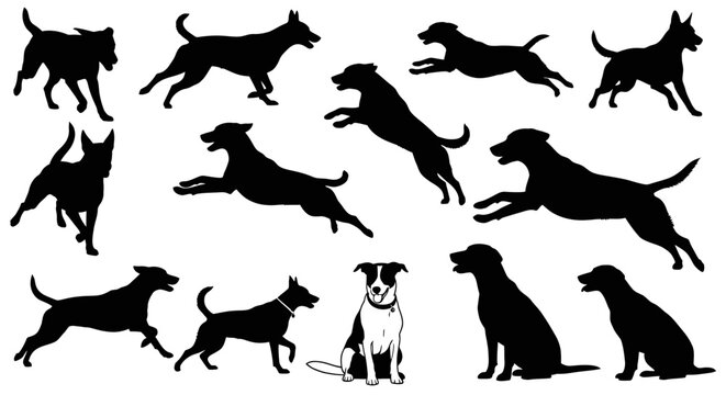 Collection of various dog silhouettes in different poses.