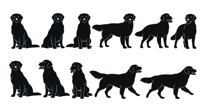 Black Labrador Retriever dog silhouettes in various poses.