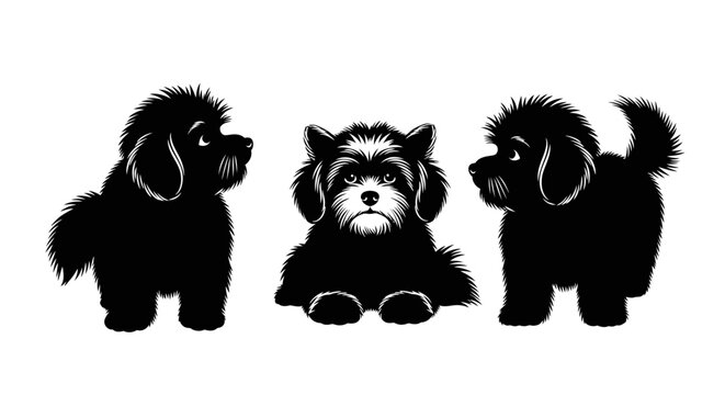 Three adorable fluffy puppies in various poses, black and white illustration.