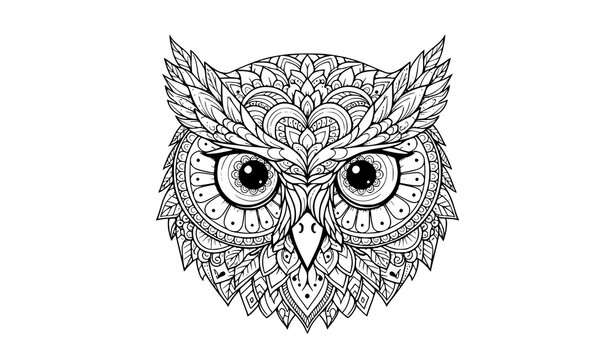 Stylized Zentangle owl head vector illustration ornamental line art