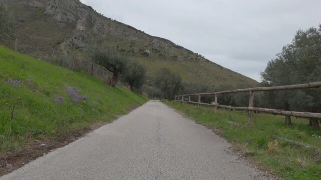 Point of view video of a car traveling along a rural road in Venafro Olive Park