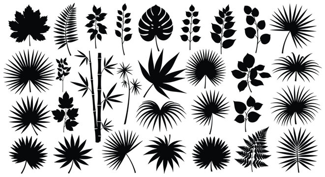 Large collection of various plant and leaf silhouettes in solid black featuring tropical palm, monstera, maple, and fern.