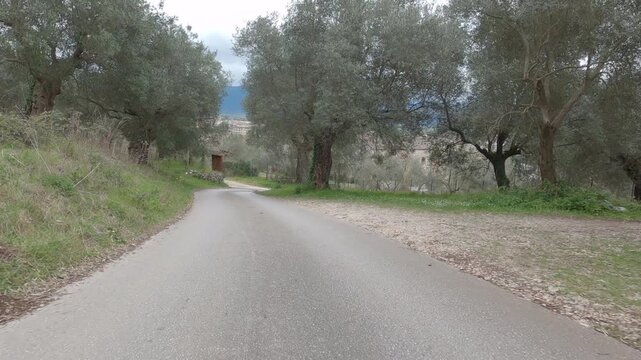 Point of view video of a car traveling along a rural road in Venafro Olive Park
