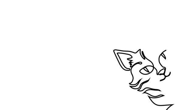 Continuous one line cat drawing art outline illustration draw paw. Cat drawing one line pet animal heart single kitten silhouette simple poster lineart footprint abstract print logo vector veterinary.