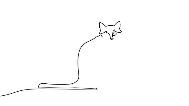 Continuous one line cat drawing art outline illustration draw paw. Cat drawing one line pet animal heart single kitten silhouette simple poster lineart footprint abstract print logo vector veterinary.