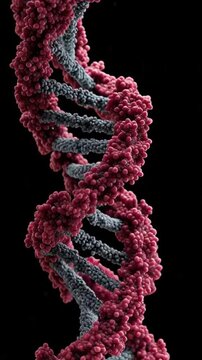DNA Strang