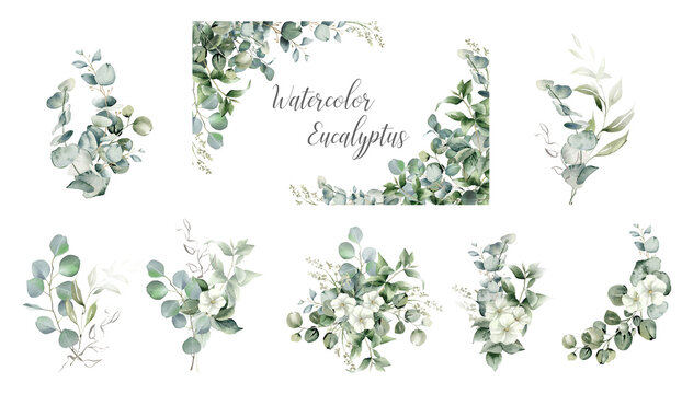 Eucalyptus leaves corner border. Watercolor illustration isolated on white. Greenery clipart for wedding invitation, greeting cards, save the date, stationery design. Hand drawn green herbs	