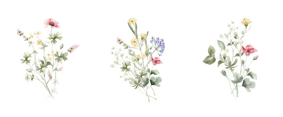 Wildflowers set, watercolor  illustration. Perfect for  wedding invitation, poster, card design. Mother's Day, Birthday, Valentine's day decoration. Pastel small flowers with delicate stems © Nataliya Kunitsyna