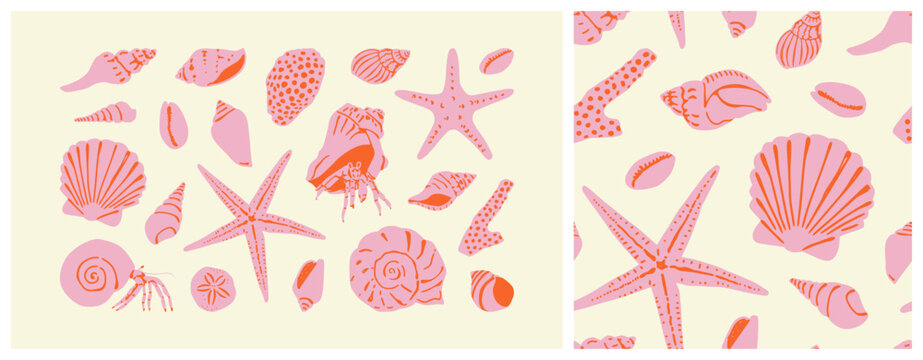 Set of diverse sea shell, aquatic life animals in flat cartoon style. Isolated marine seashell, star fish and more exotic wildlife. Summer vacation collection, tropical beach shells.
