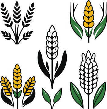 Editable agriculture vector icons, black outline with separate layers, color-ready design, rice, wheat, corn, white background 1