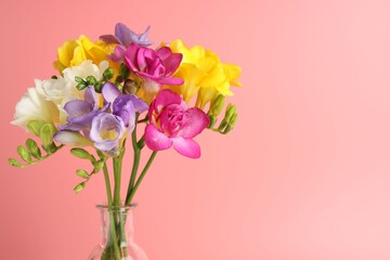 Obraz premium Beautiful freesia flowers in vase on pink background, closeup. Space for text