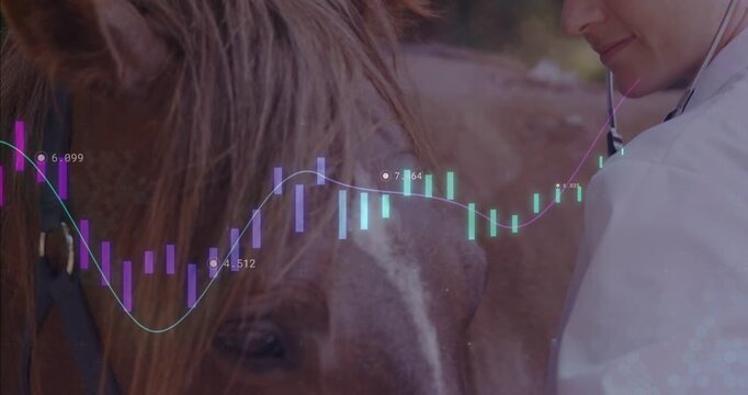 Vet placing stethoscope listening and cradling horse for exam, candlestick line flowing over hands