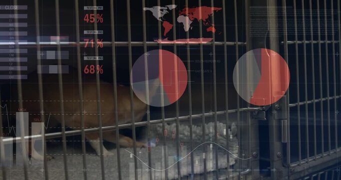 HUD overlays rising as small dog moving in animal care kennel, investigating bedding and settling