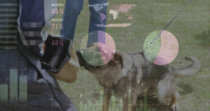 Decoy holding sleeve dog lunging biting handler holding leash K9 overlays showing charts over dog