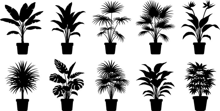 Collection of Black Silhouette Potted Houseplants Vector Illustration Set on White Background
