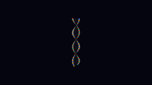 Colorful DNA Double Helix - Genetic Code and Biological Data Representation