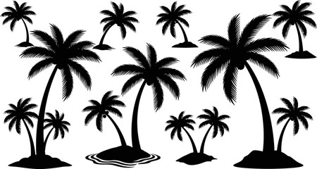 Obraz premium set of black palm trees on white background tropical landscape design elements