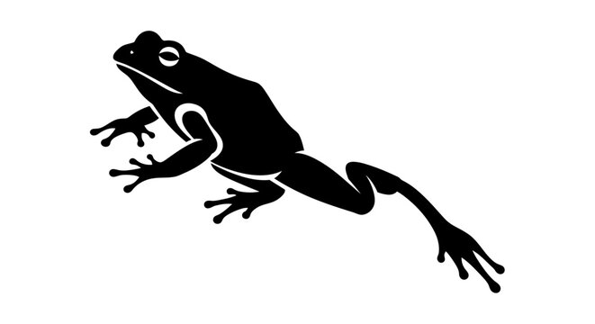 Silhouette of a Frog in Motion.