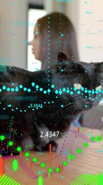 Vertical video: Cat turning head, AR overlay starting finance animation, girl blurred under overlay
