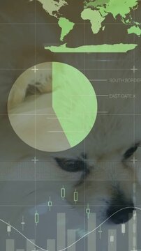 Vertical video: HUD appearing and animating charts while dog shifting head, showing health metrics