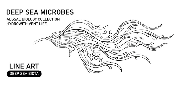 Deep sea microbes abyssal biology collection: line art of hydrovent life and deep sea algae.