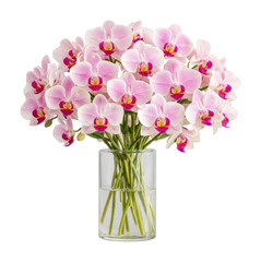 Naklejka premium PNG Elegant pink orchid bouquet