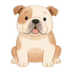 Fototapeta premium PNG Cute watercolor bulldog illustration